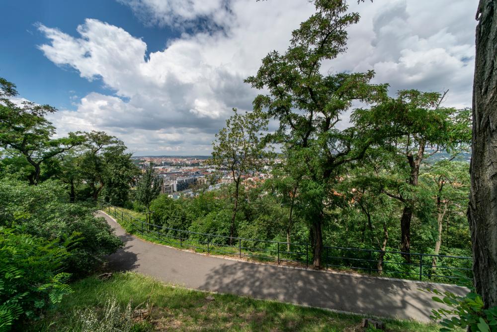 park na vrchu Vítkově, výhledy na Karlín ze severní cesty, 2018