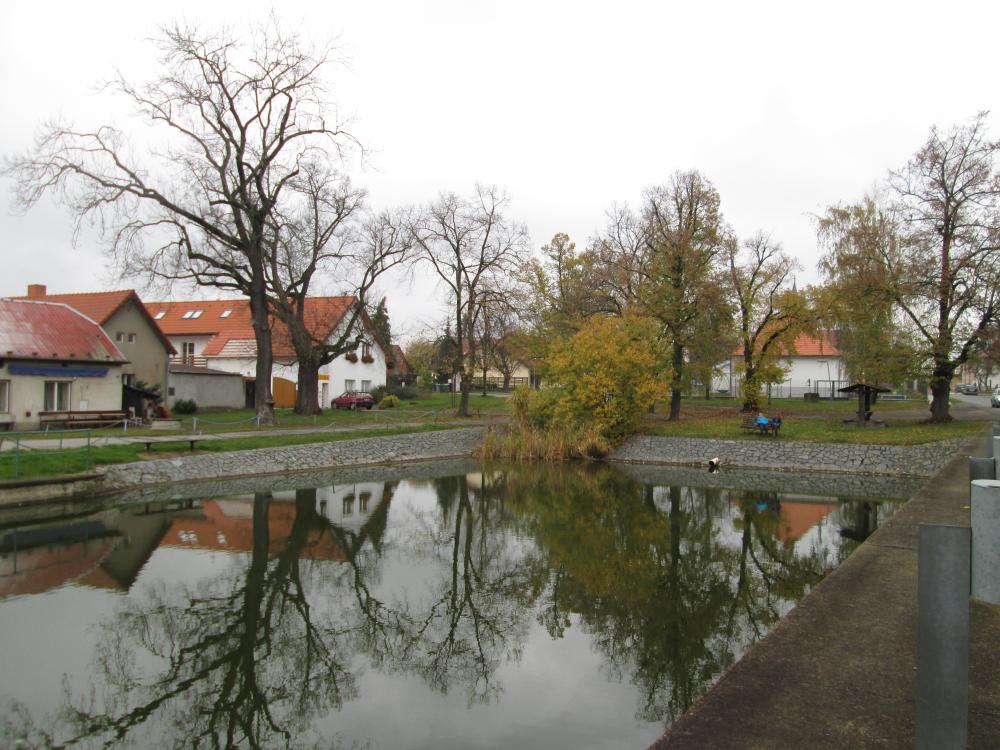 Střed Zlatníků s vodní nádrží a památnou lípou