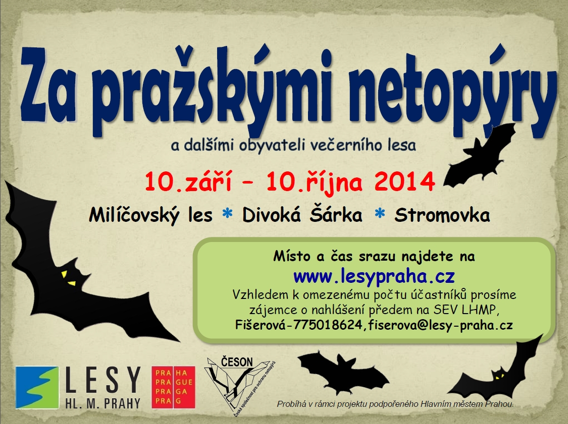 Vycházky "Za pražskými netopýry a dalšími obyvateli večerního lesa", podzim 2014