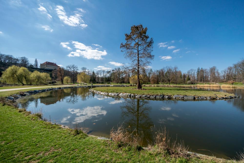 3049753_Podzimní atmosféra v Královské oboře Stromovka (foto: Lubomír Stiburek)