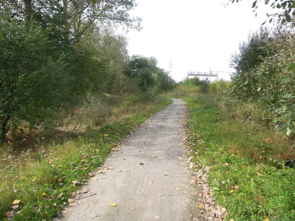 Cesta mezi Běchovickým potokem a železniční tratí