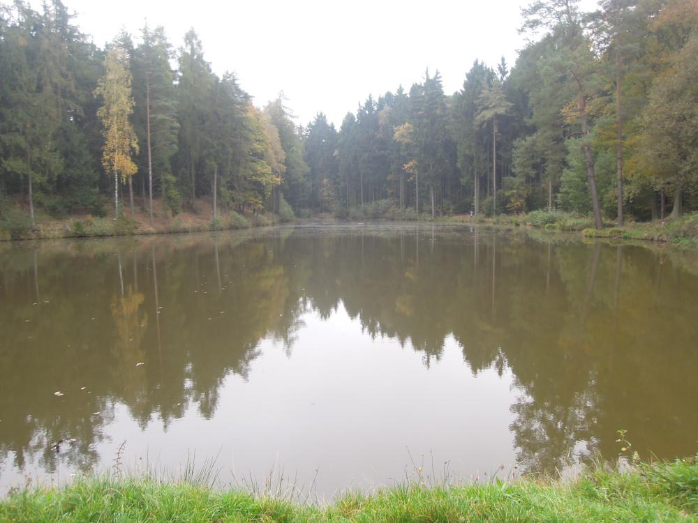 První rybník na toku Rokytky