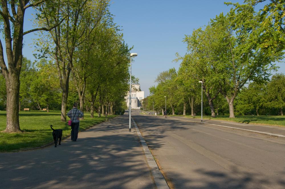 Pohled alejí s pobytovou loukou směrem k památníku Vítkov