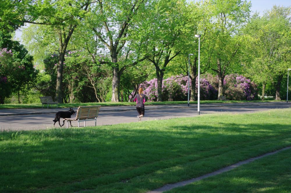 Mobiliář parku Vítkov