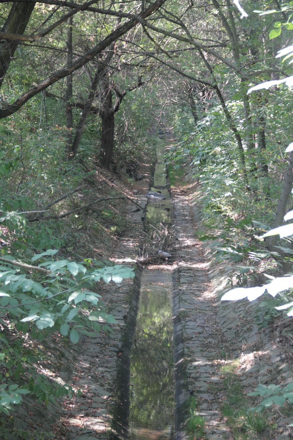 Regulovaný tok Kunratického potoka v Braníku