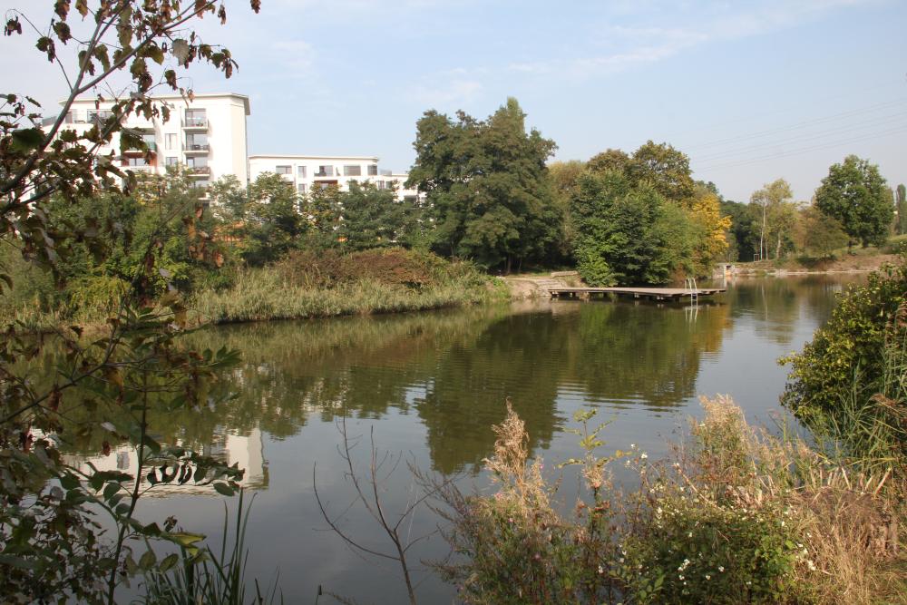 Hořejší rybník v Hloubětíně