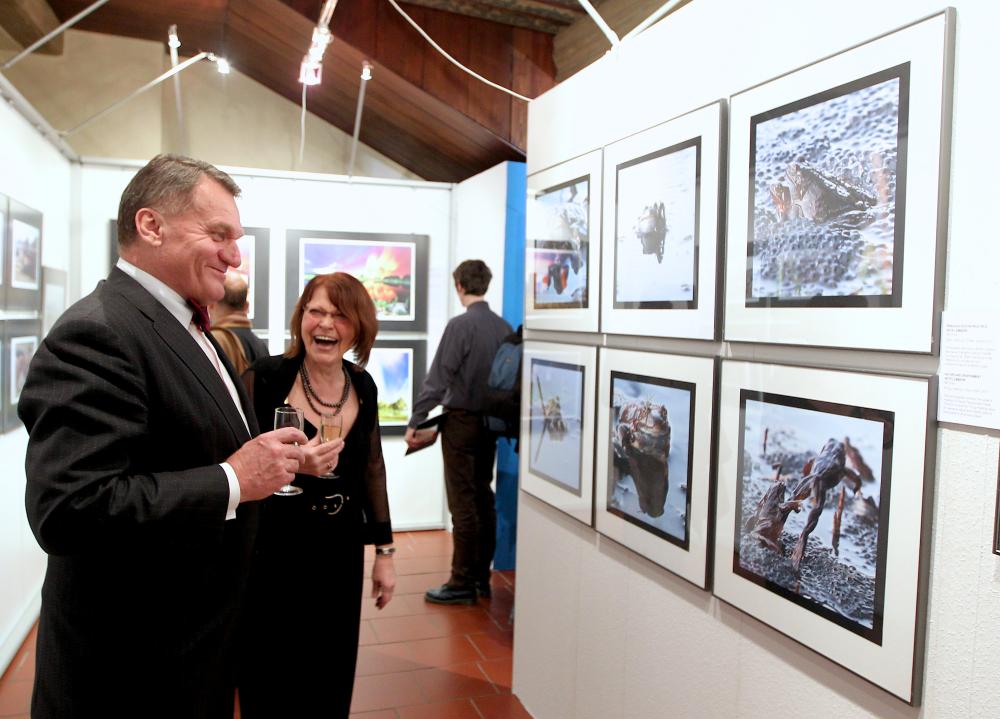 1169839_Czech Press Photo 2011