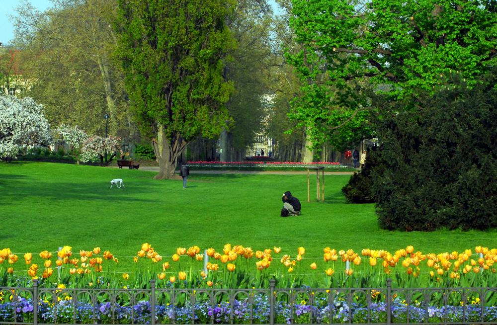 Prosluněný park na Letné