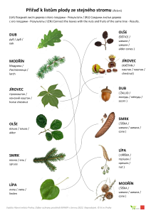 EVVO infomateriály pro děti - spojovačka - Listy a plody - Výsledky (pdf)