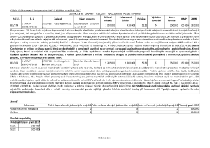 _2_ZASTUPITELSTVEM_HMP_SCHVALENE_JEDNOLETE_GRANTY_KUL_2017_NAD_200_000_Kc_DE_MINIMIS