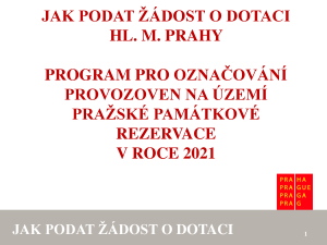 PREZENTACE_ zpracování el žádosti  2021