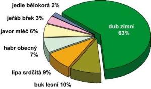 prokopadalejudoli_prirozzastdrevin_jpg