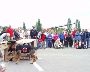 497400_3.9.2006-Záchranářský pes našel v &#34;troskách&#34; člověka, který potřebuje pomoc