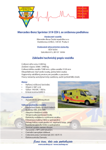 tz_repatriace_popis_vozidla_pdf