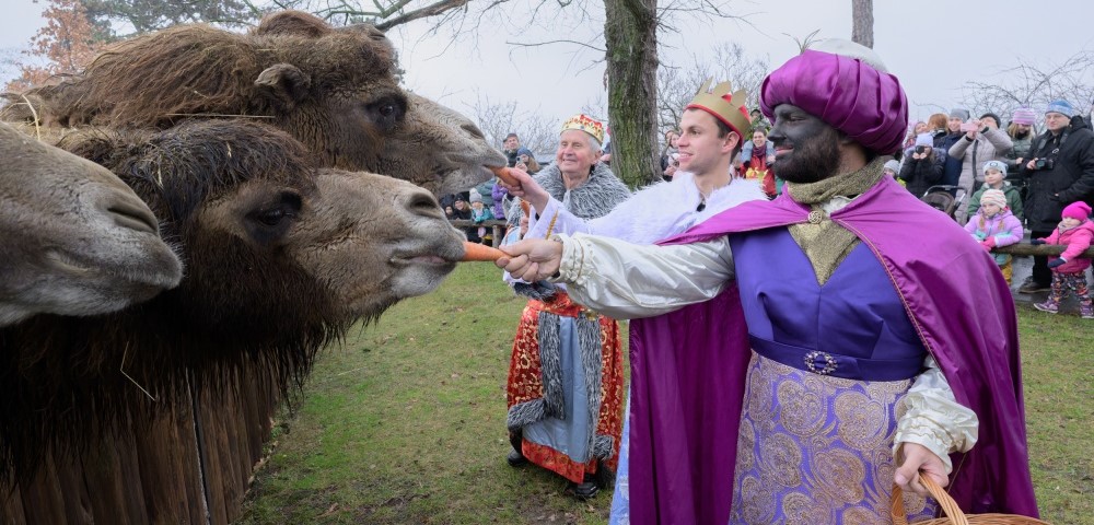 Tři králové v Zoo Praha