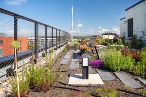 240612_01_Environmentalni-pavilon-CZU_03_2500px