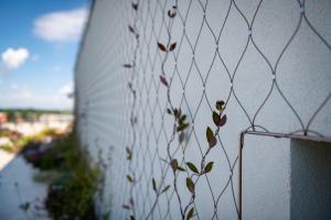 240612_01_Environmentalni-pavilon-CZU_06_2500px
