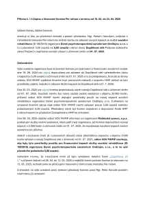 Priloha1_Priloha_c-1