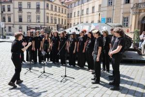 DVO_5868