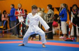 MCR_karate_2016_Kozak_01