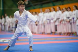 MCR_karate_2016_Kozak_03