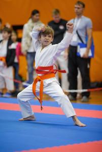 MCR_karate_2016_Kozak_06