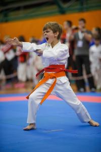 MCR_karate_2016_Kozak_08