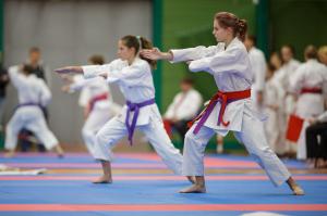 MCR_karate_2016_Kozak_12