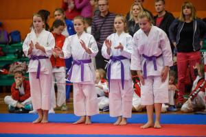 MCR_karate_2016_Kozak_29