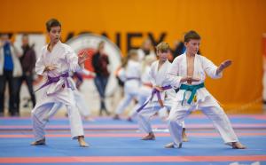 MCR_karate_2016_Kozak_30