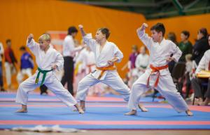 MCR_karate_2016_Kozak_34