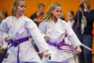 MCR_karate_2016_Kozak_40