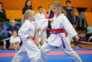 MCR_karate_2016_Kozak_42