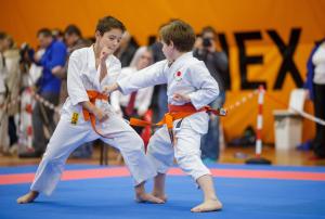 MCR_karate_2016_Kozak_46
