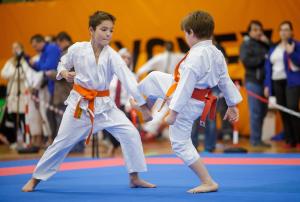 MCR_karate_2016_Kozak_47