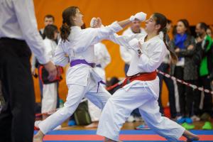 MCR_karate_2016_Kozak_54
