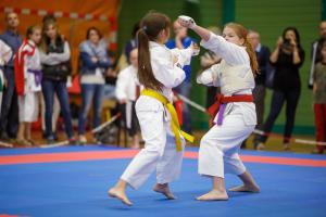MCR_karate_2016_Kozak_55
