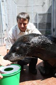 580867_05-23-09 Pražská ZOO otevřela novou expozici pro lachtany