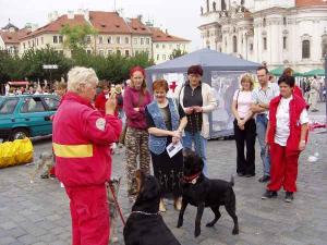 p1010673halova_svetovy_den_prvni_pomoci