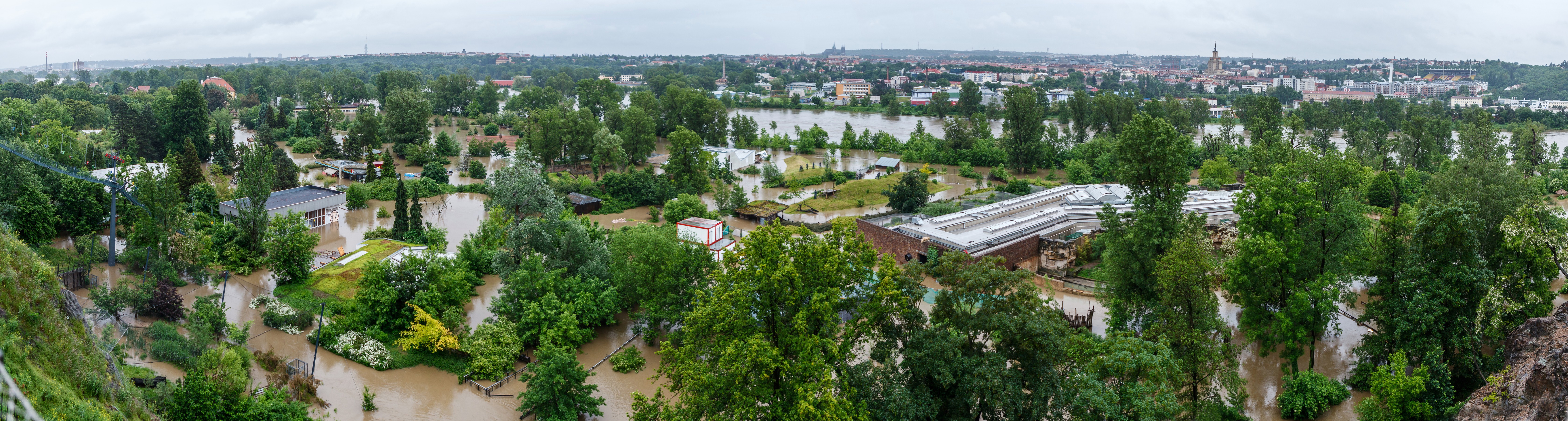 Kooperativa uhradila pražské zoo povodňové škody za 52 milionů
