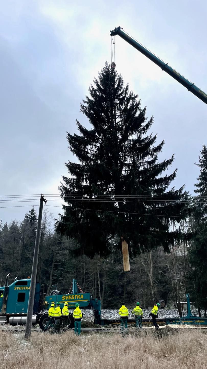 Loňský vánoční strom pocházel z obce Kytlice-Mlýny