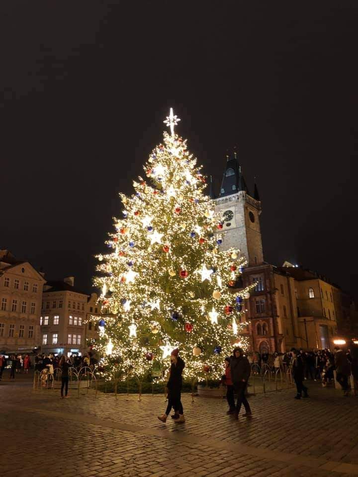 Loňský vánoční strom vyrostl nedaleko Jílového u Prahy