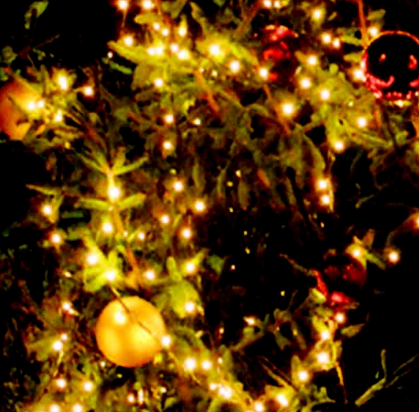 Rozsvěcení vánočních stromů ve Slivenci a v Holyni