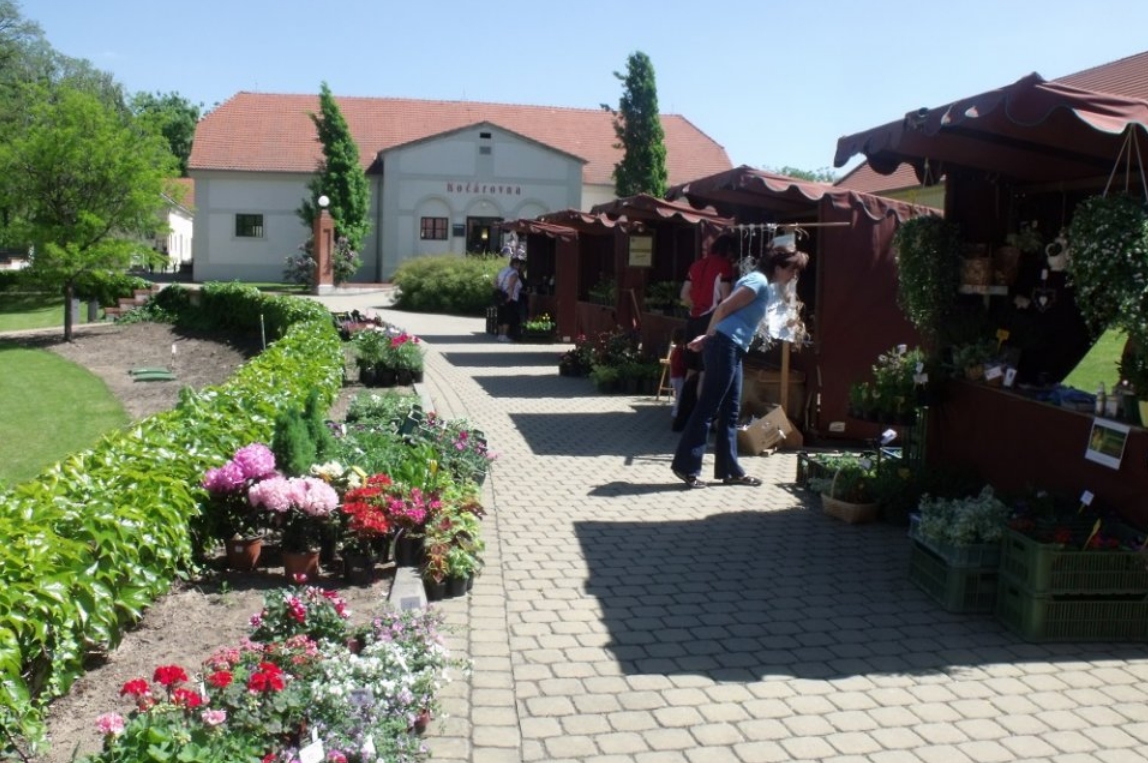 V Zámeckém areálu Ctěnice se v polovině května uskuteční již druhý ročník květinového trhu