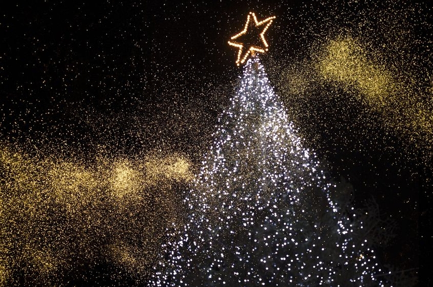 Velký vánoční strom obklopí lesík malých stromečků