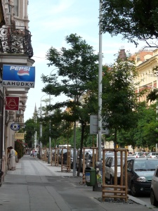 obnova stromořadí v ulici Korunní (foto OOP MHMP, 7/2009)