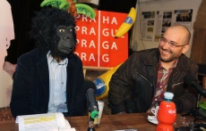 Hlavní město Praha ve spolupráci se Zoo Praha uspořádá 22. května charitativní akci Běh pro gorily.