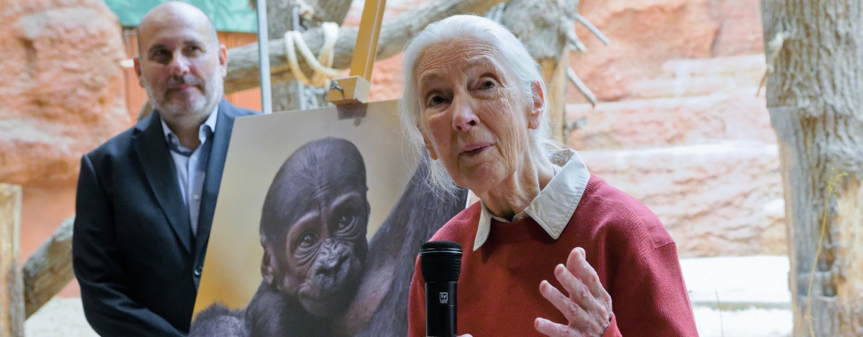 Jane Goodal a Miroslav Bobek
