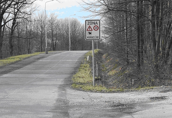 Fotografie dopravního značení, které upozorňuje na migraci žab